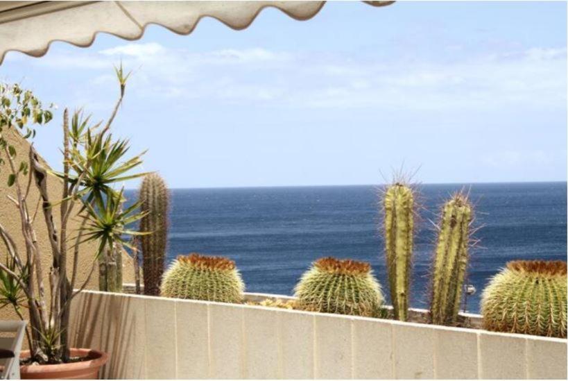 Apartamento Frente Al Mar Radazul Екстериор снимка